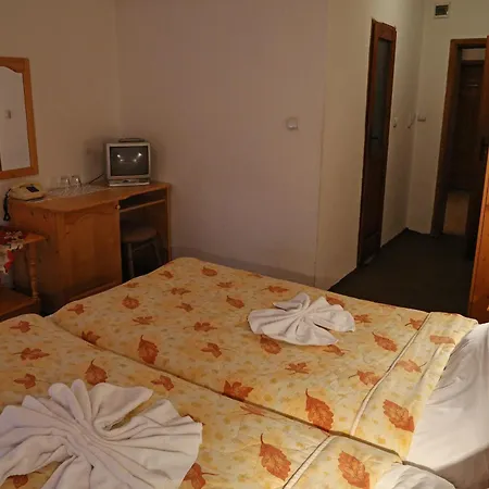 酒店 Family Bisser 3*