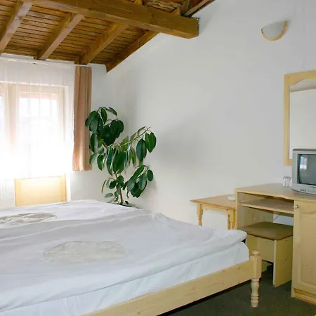 Family Bisser Готель Бансько