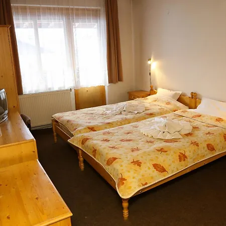 Family Bisser Hotel Bansko