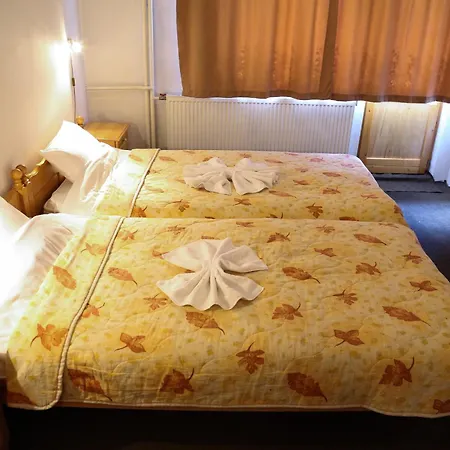 Family Bisser Hotel 3*