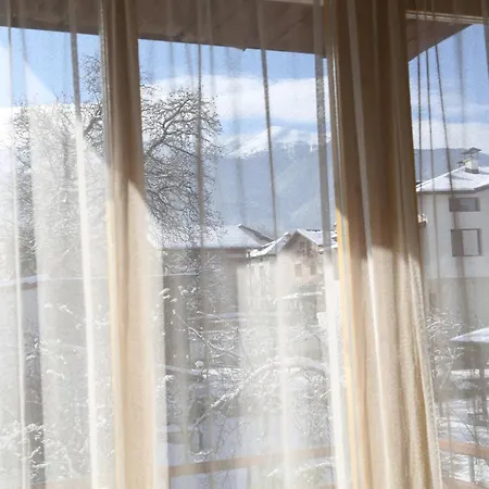 Family Bisser Бансько