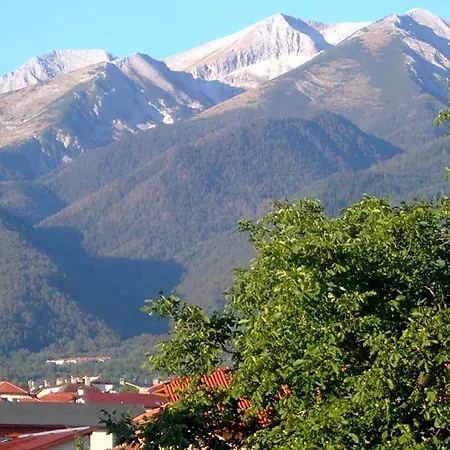 Hotel Family Bisser 3*