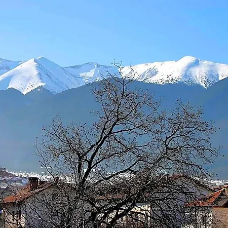 Family Bisser Hotel Bansko