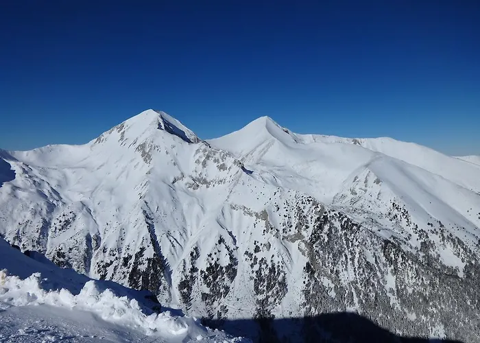 Family Bisser Szálloda Banszko