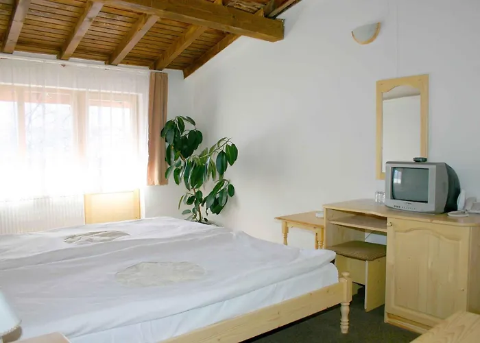 Family Bisser Szálloda Banszko