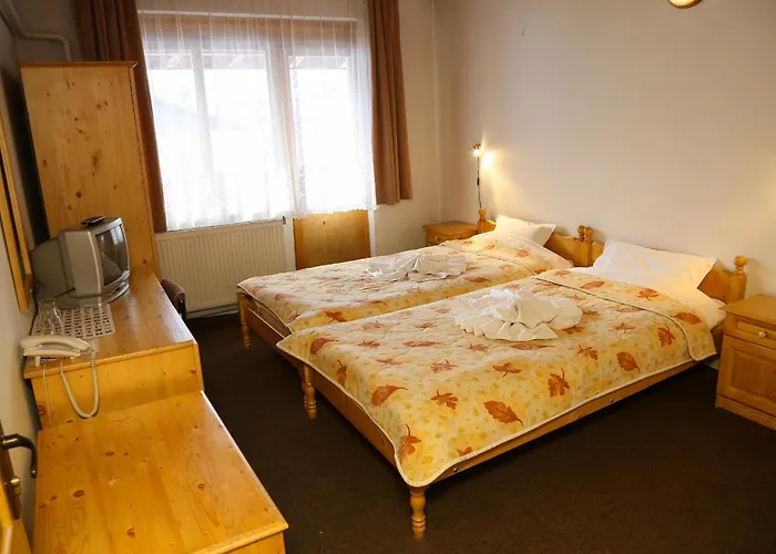 Family Bisser Szálloda Banszko